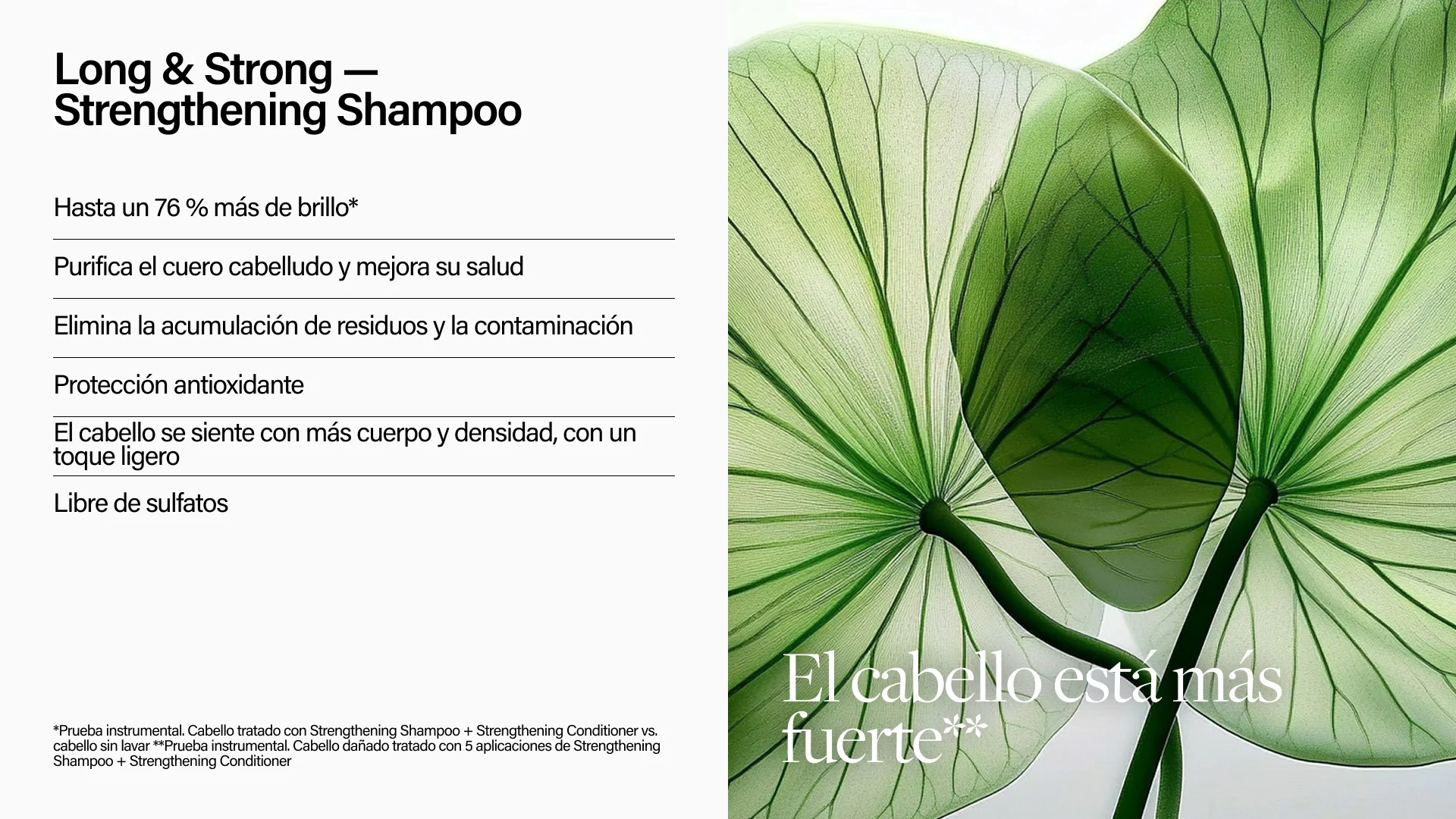 Keune Long & Strong Shampoo 300ml